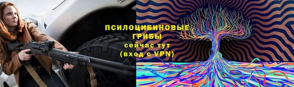 соль курить ск Инсар