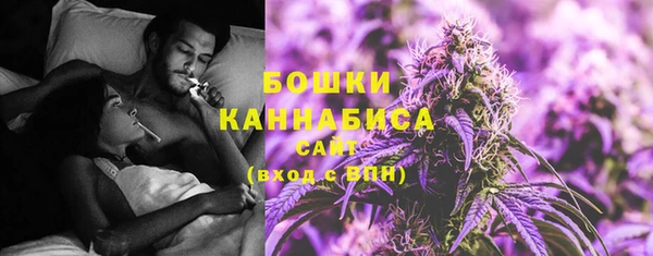 трава Иннополис