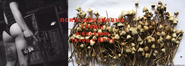 mdma Зеленодольск